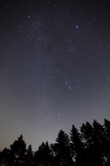 森に降る冬星座と天の川