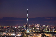 WHITE SKYTREE