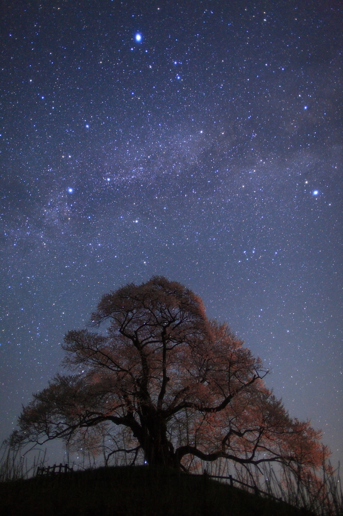 星ノ化身