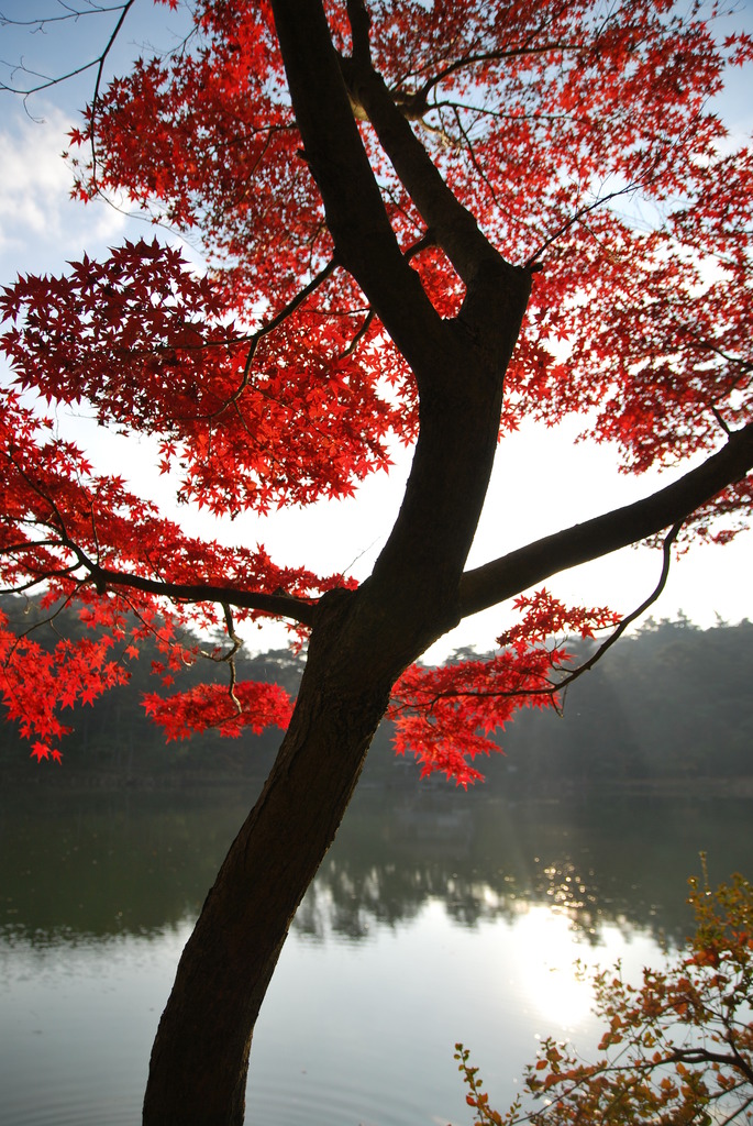 再度公園　
