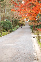 龍安寺