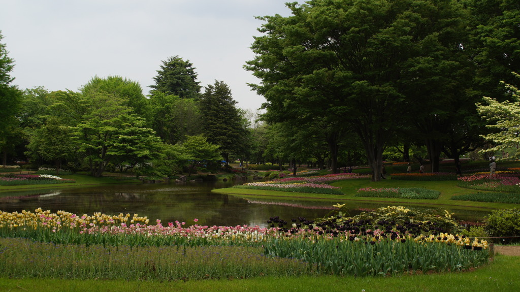 5月の水辺