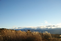 DSC03073