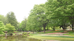 5月の森