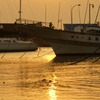 夕日と海