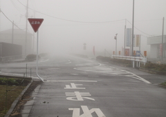 栃木県真岡市午前9時の霧