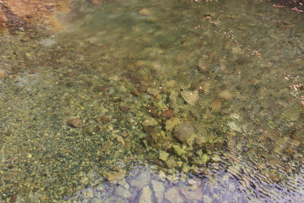 DPP_00038