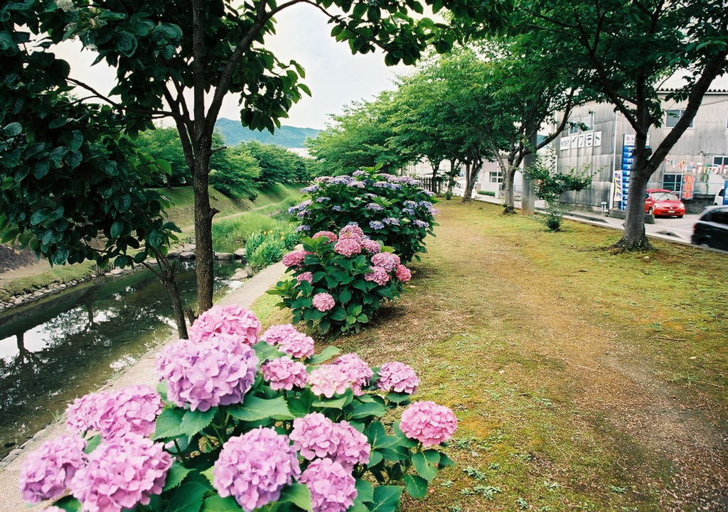 散歩道（前回の追加分）