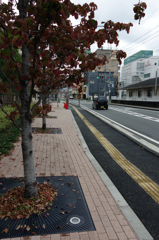 もう木枯らしが