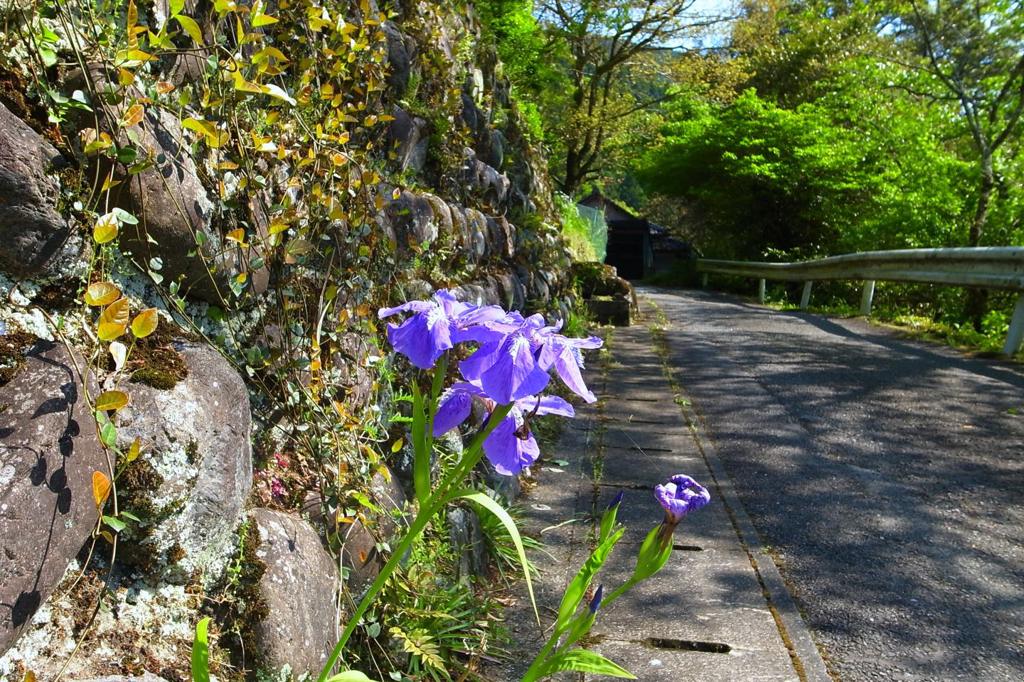 こんなところに・・・