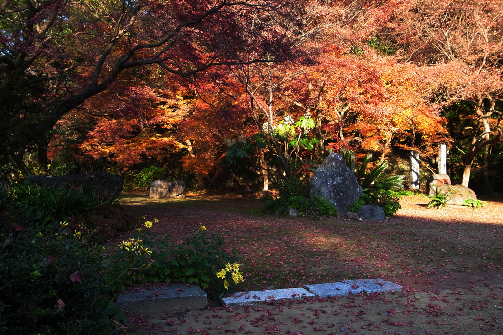 初冬の古刹＃１