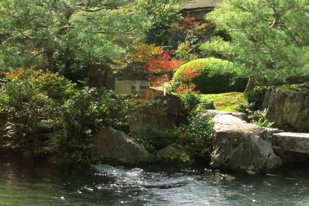 まだ紅一点・・・
