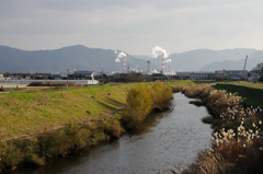いつもの散歩道から