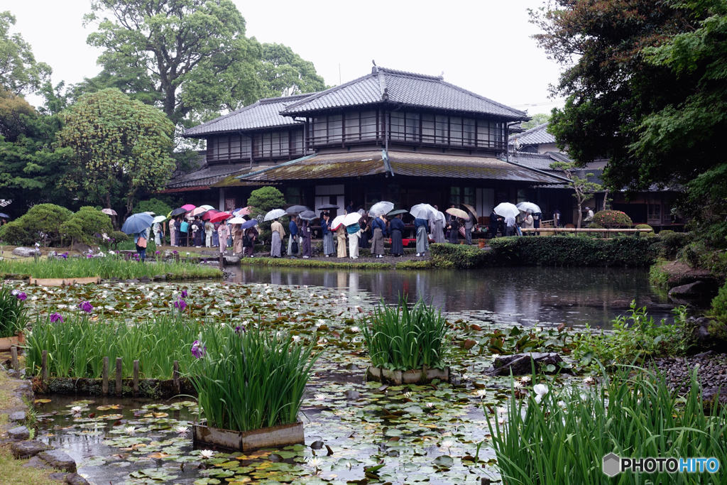 花菖蒲お茶会～雨風情