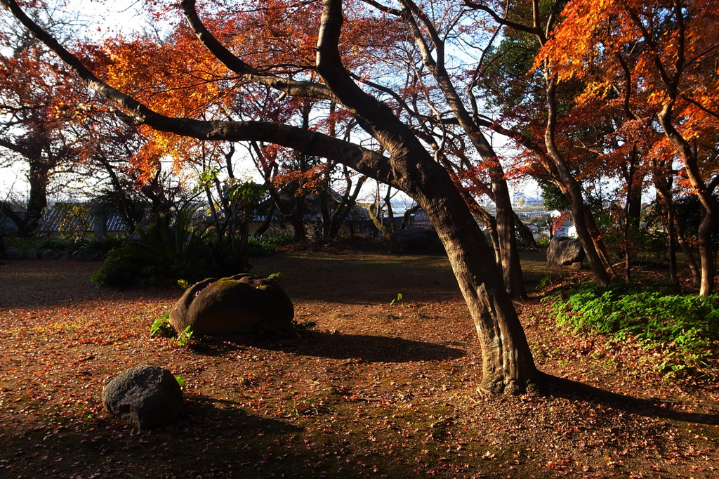 初冬の古刹＃２