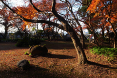 初冬の古刹＃２