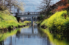 春の小川