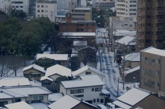 年賀状配達隊、出発！