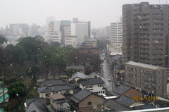 南国にも雪が舞う