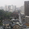 南国にも雪が舞う