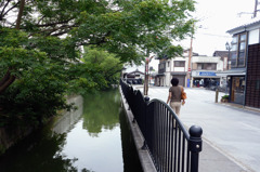 水郷の夏／昼下がり#2