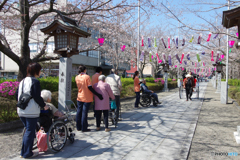 参道の花祭り