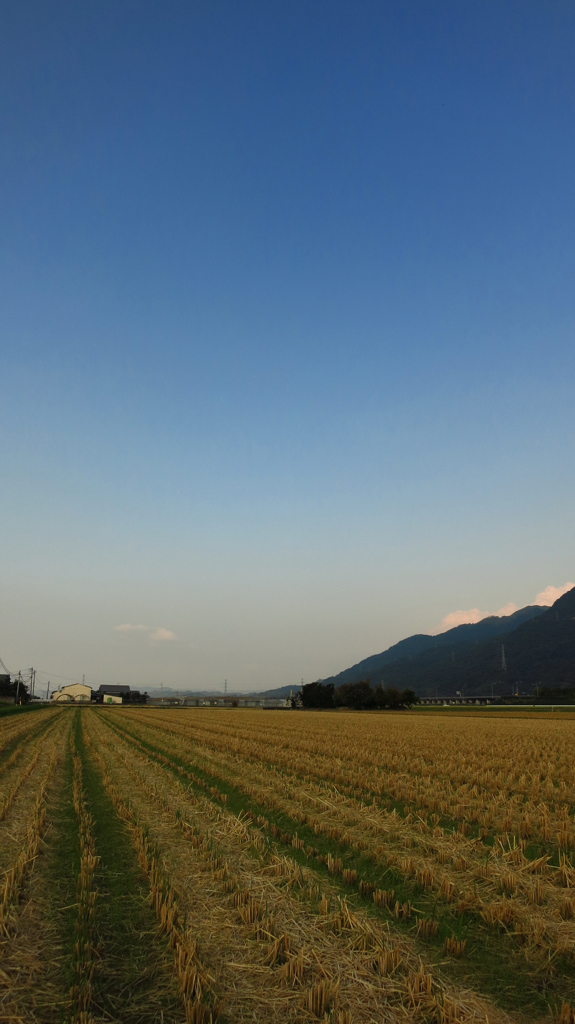 どこまでも青く