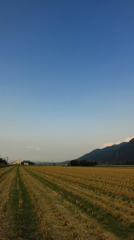 どこまでも青く