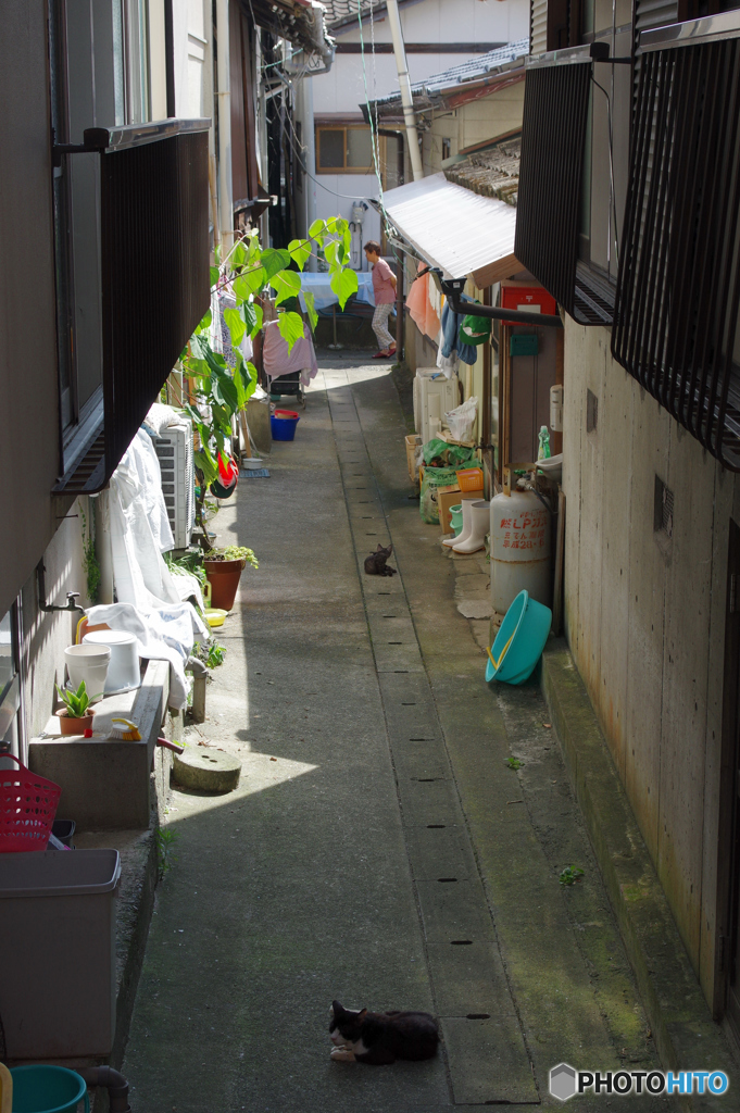 路地裏の朝