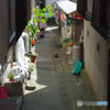 路地裏の朝