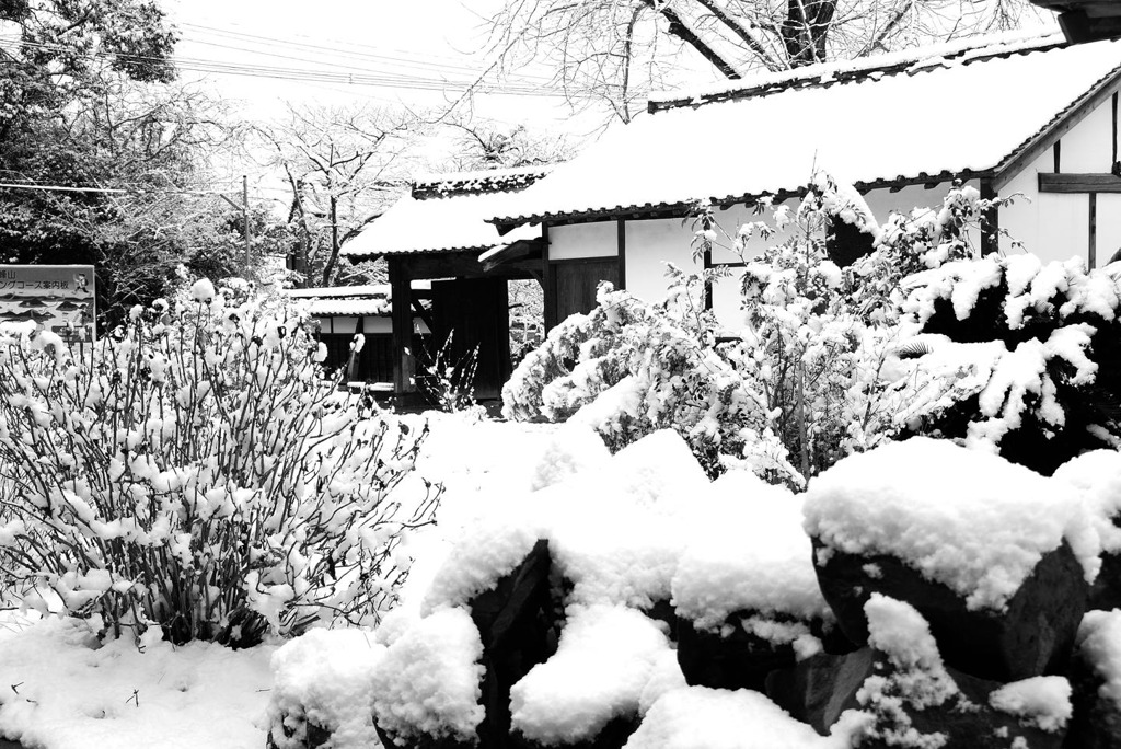 Silence in the morning