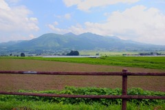 田園風景