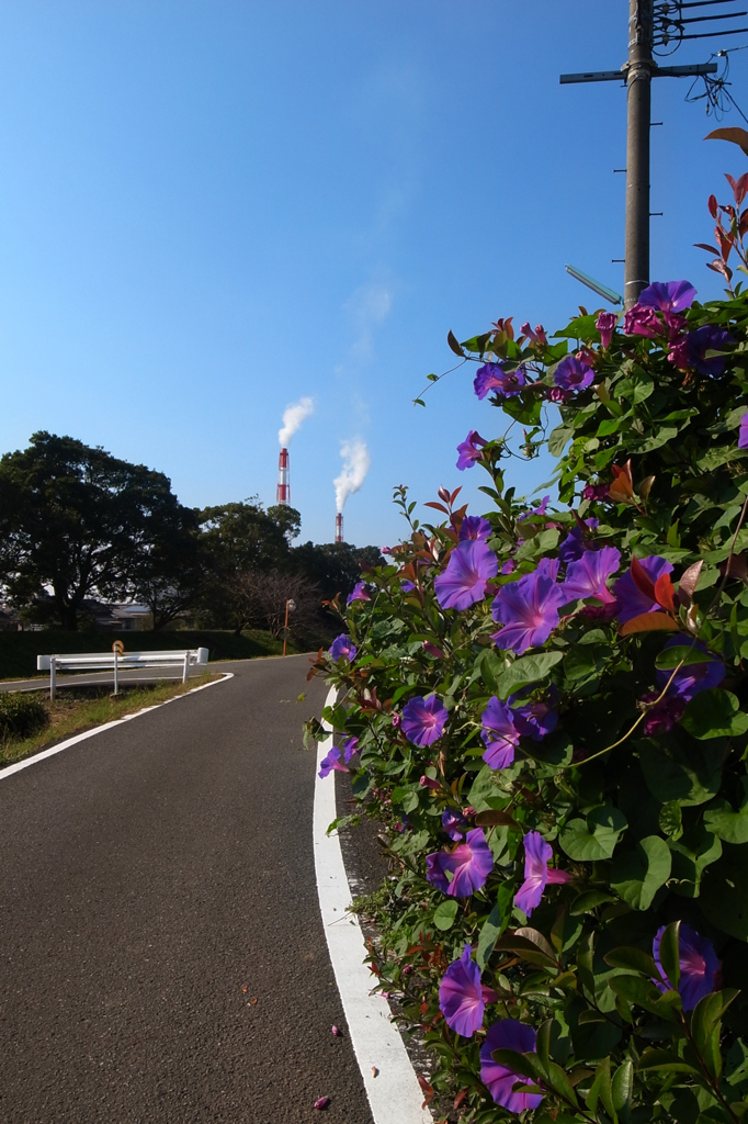 散歩道から