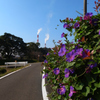 散歩道から