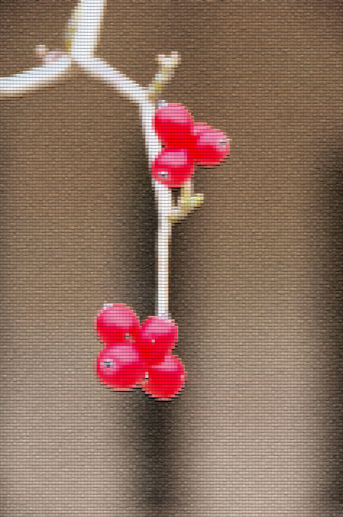 ハナミズキ・アート＃２