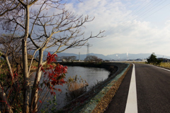 川沿いの遊歩道から＃１