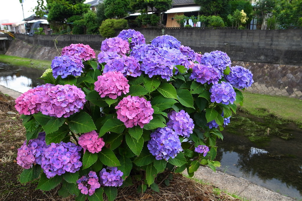 とても綺麗ですよ、よくまとまって！