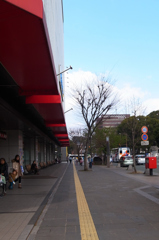 消えゆく憩い通り