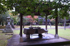 松井神社境内