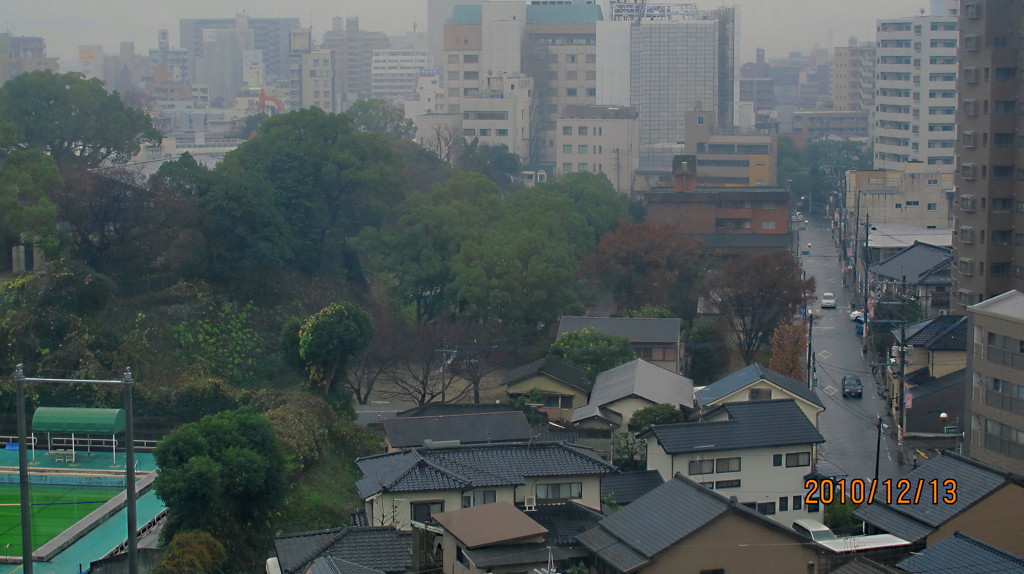 初冬の小雨に煙る森の都の対照