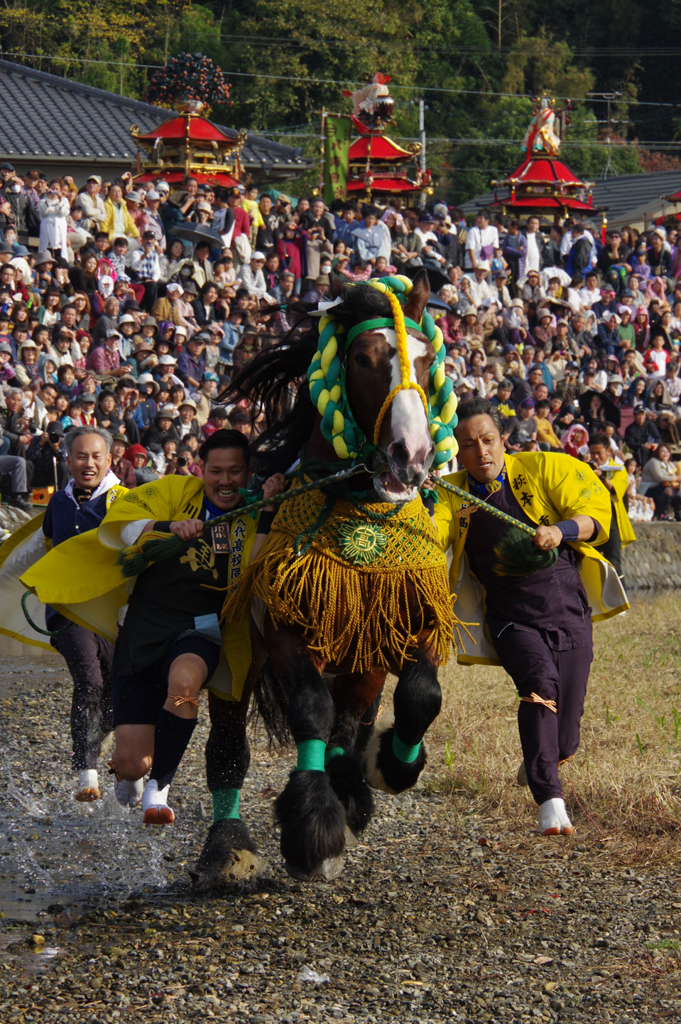 花馬と笠鉾