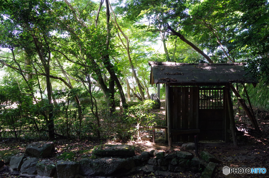 静～初夏の佇み