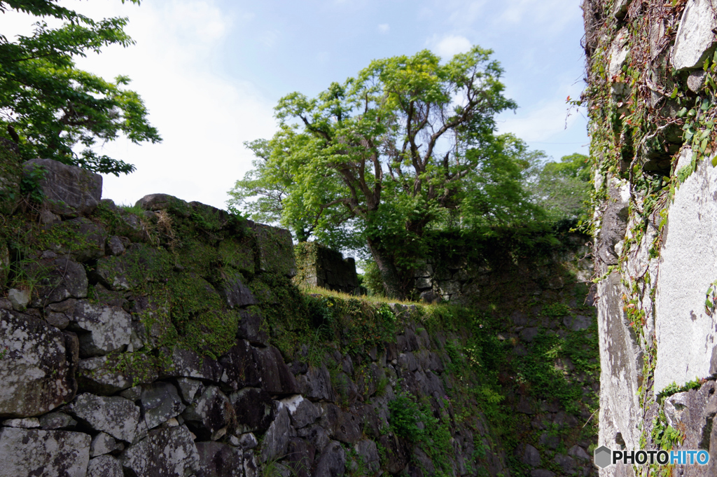 静～初夏の城跡