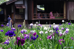 花菖蒲お茶会～待つ