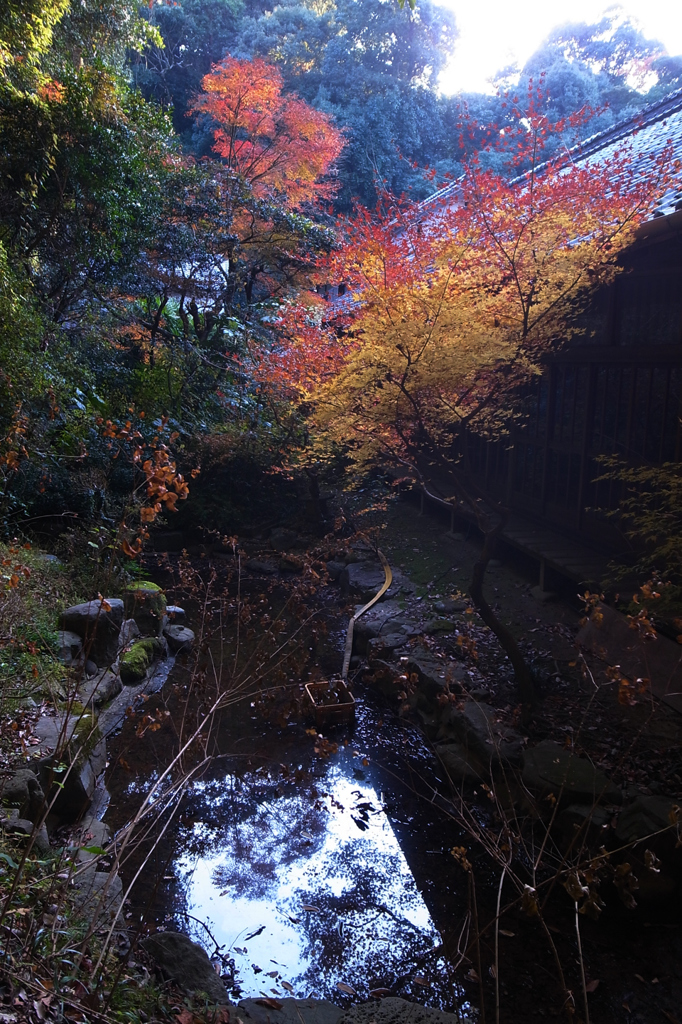 初冬の古刹＃５