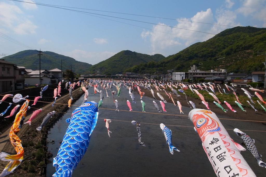 鯉のぼりがいっぱい！