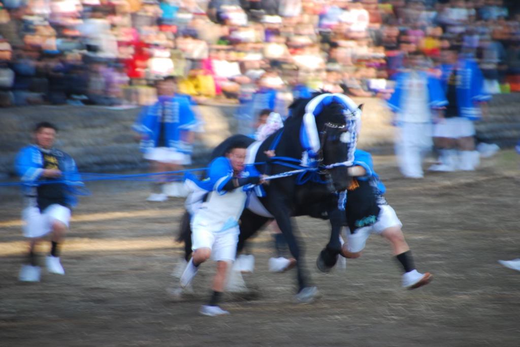 飾り馬ＲＵＮ