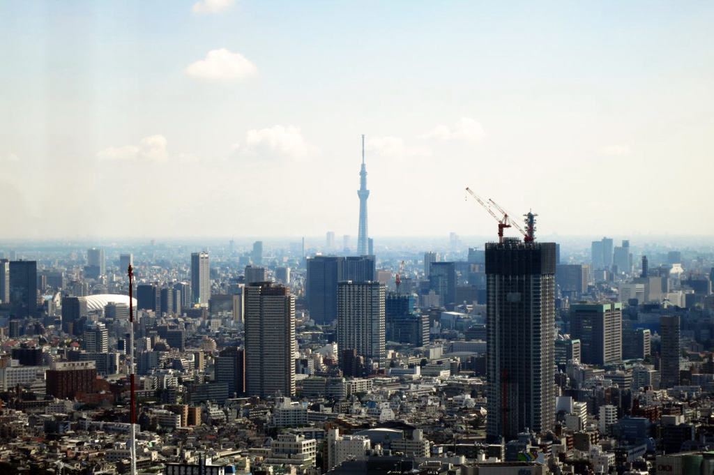 スカイツリーを望む