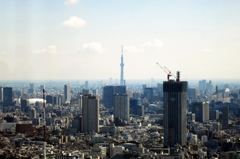 スカイツリーを望む