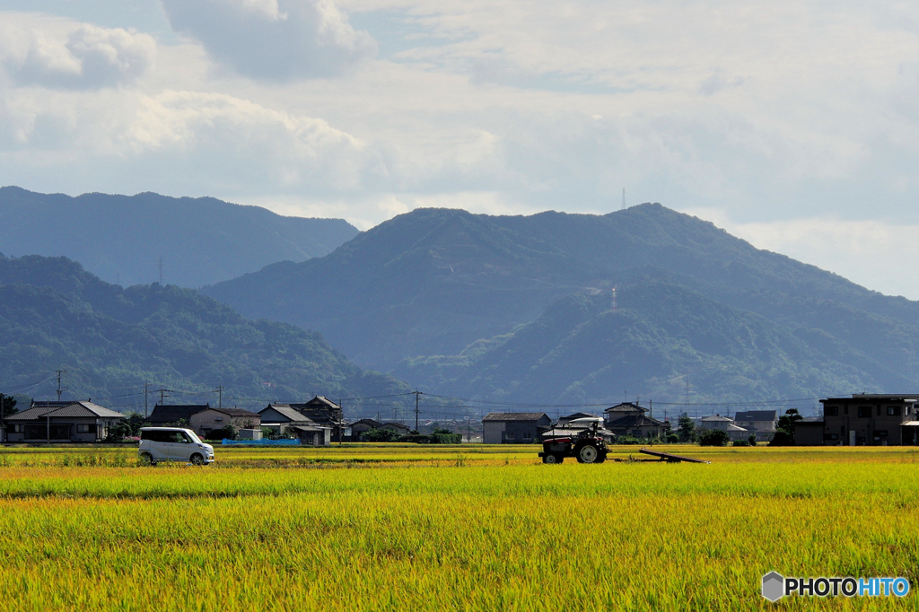 八代平野一景